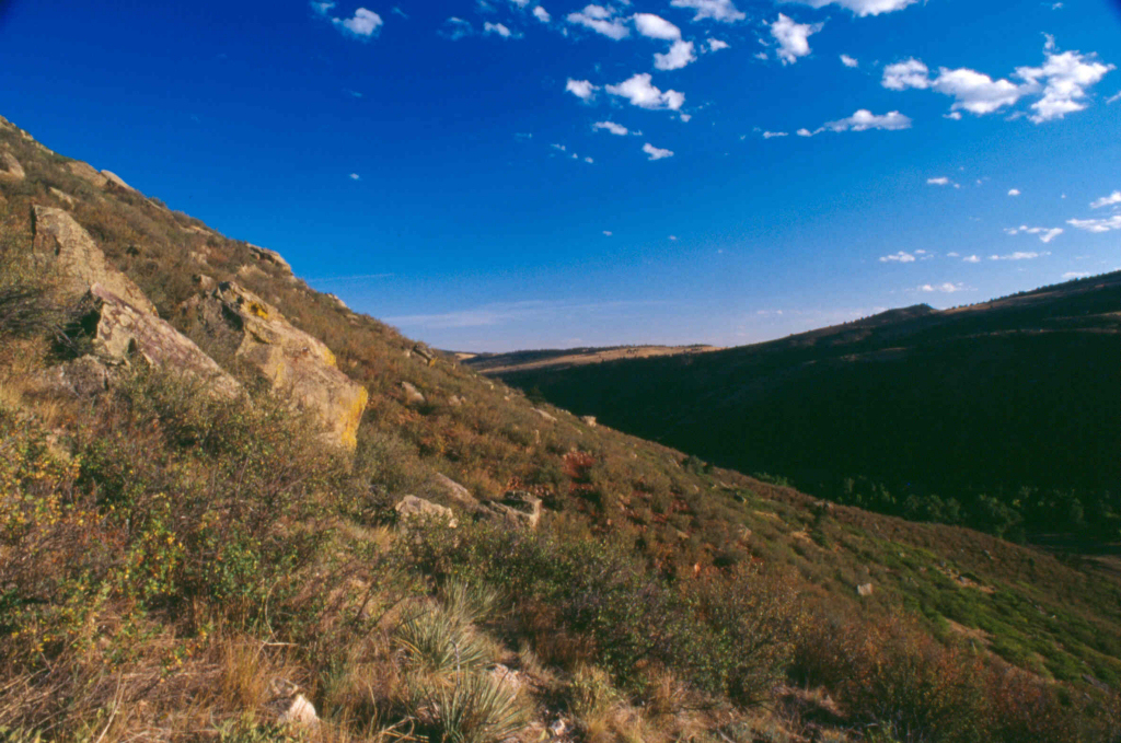 Image 2: Red-Tail Ridge Open Space