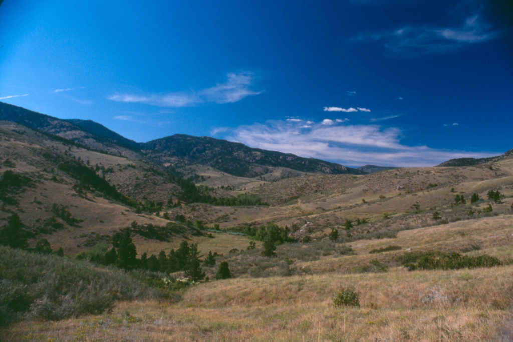 Image 5: Blue Mountain Bison Ranch