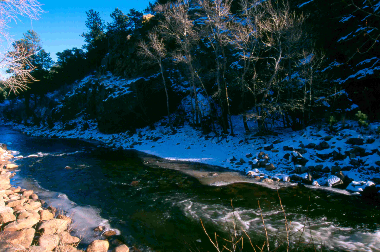 American Legion Property Larimer County