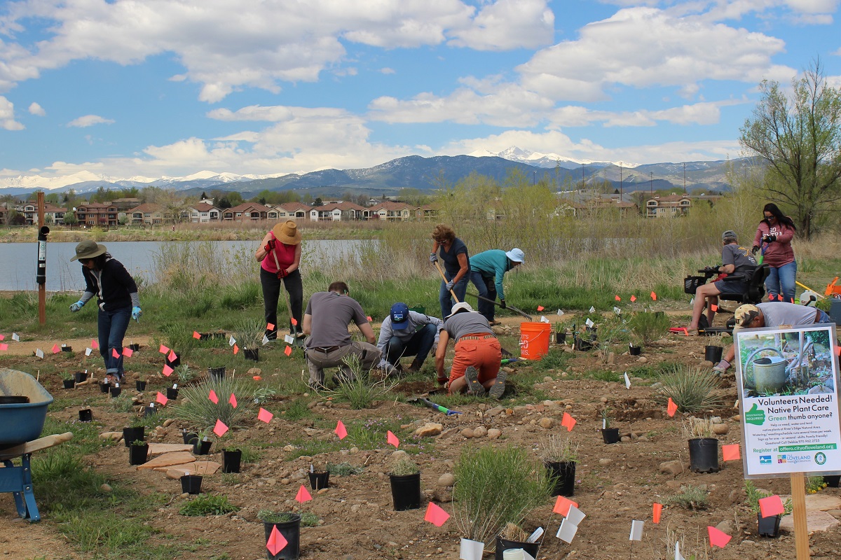 Imagen 4: Sociedad de Plantas Nativas de Colorado - Beneficiario de la subvención 2019