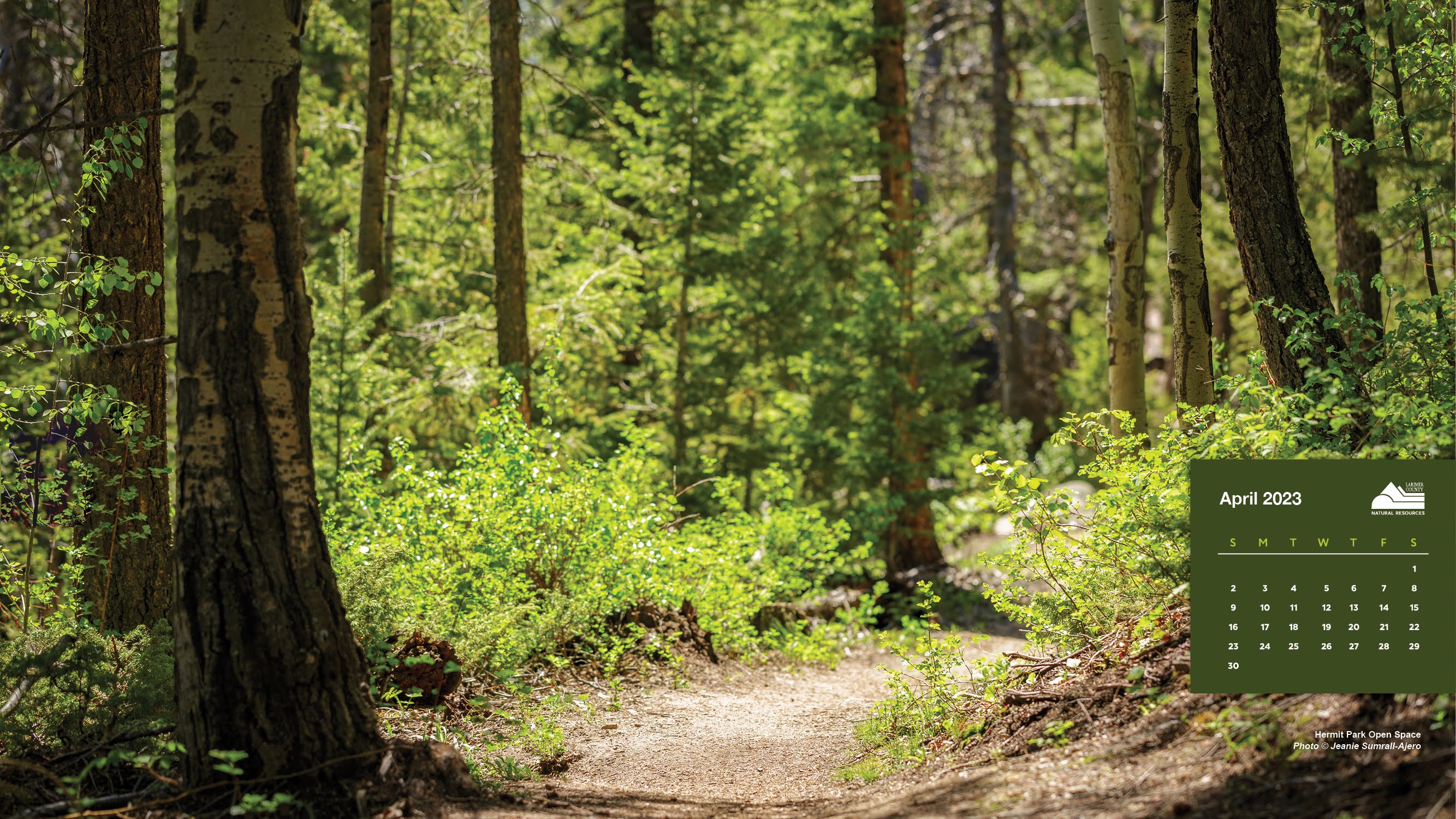 Image 4: Hermit Park Open Space; April 2023, Jeanie Sumrall-Ajero
