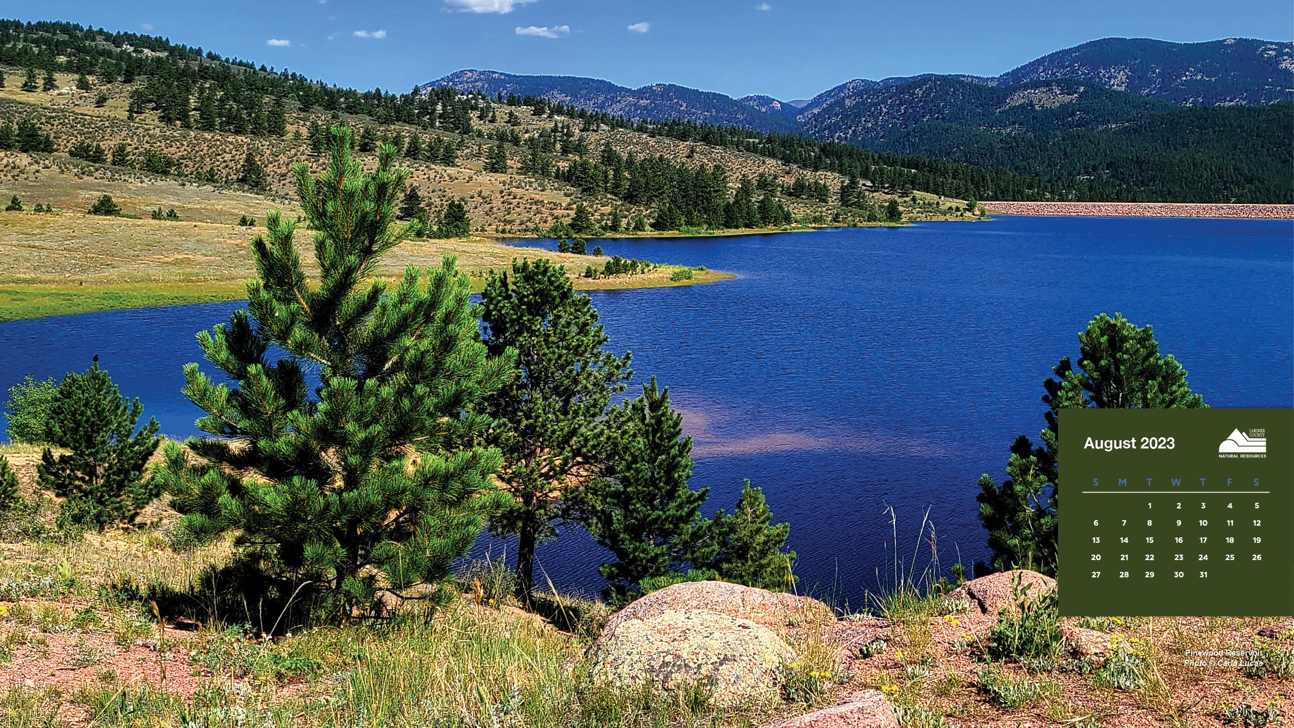 Image 8: Pinewood Reservoir, August 2023; Carla Lucas
