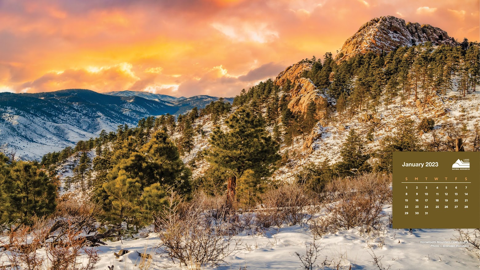 Image 1: Horsetooth Mountain Open Space, January 2023, Brendan Bombaci