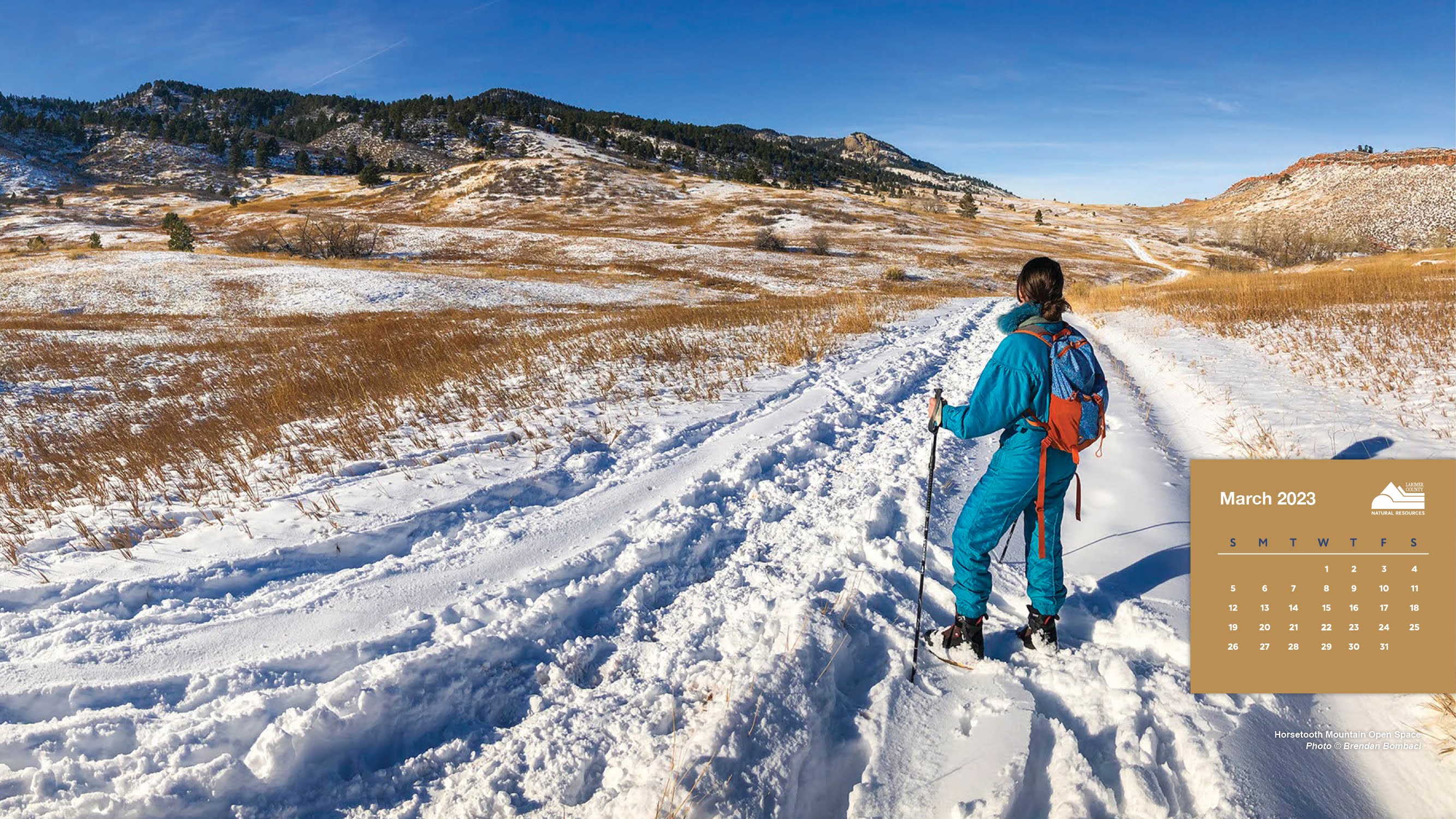 Image 3: Horsetooth Mountain Open Space; March 2023; Brendan Bombaci