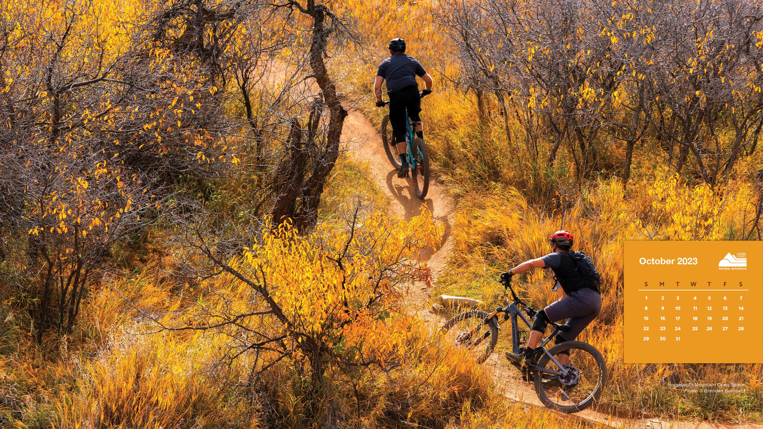 Image 10: Horsetooth Mountain Open Space; October 2023; Brendan Bombaci