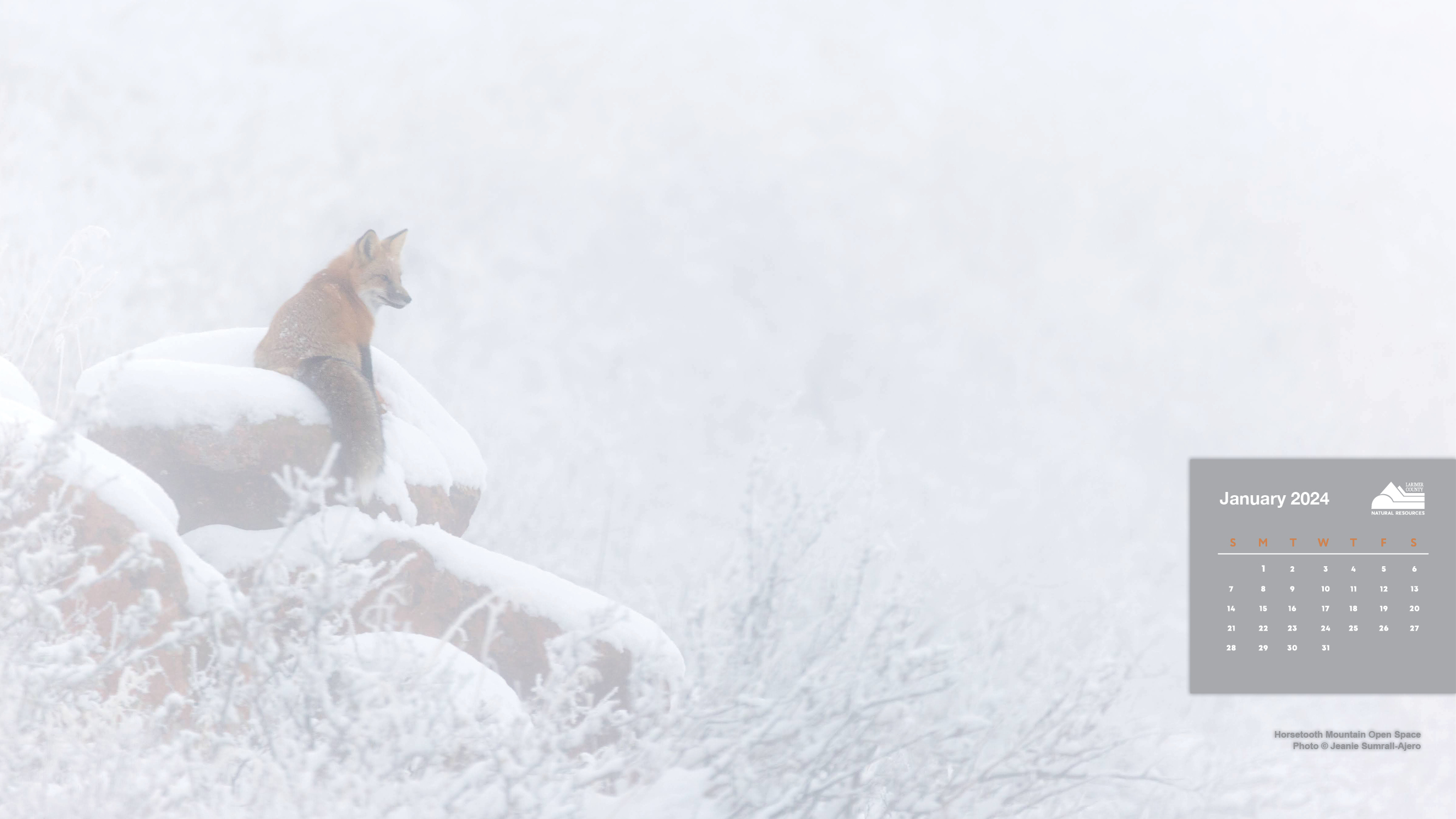 2024 Calendar Larimer County