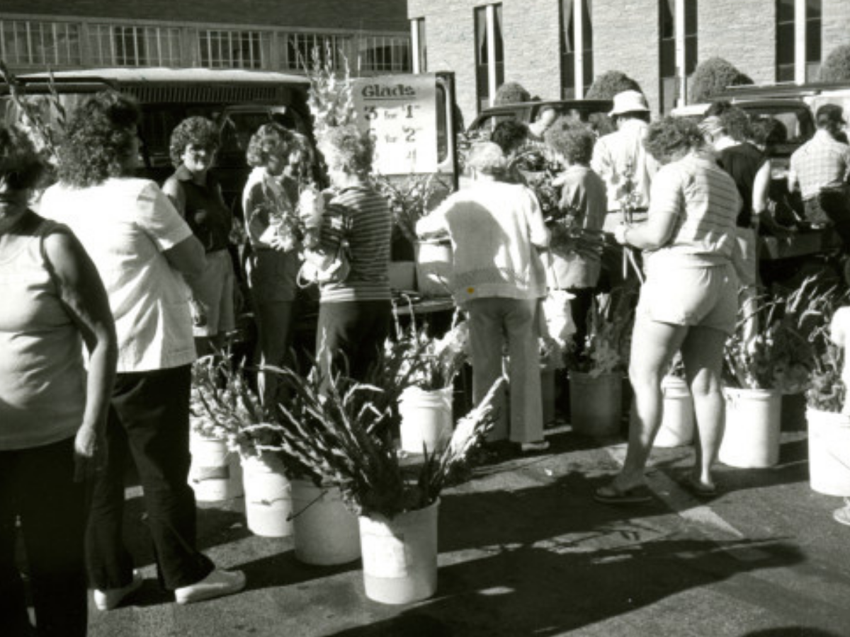 Larimer County Farmers' Market Larimer County