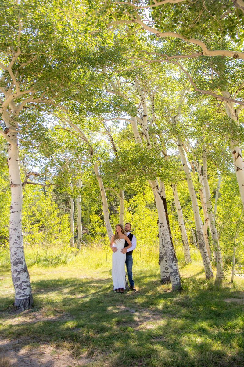 Image 4: Weddings in Estes Park