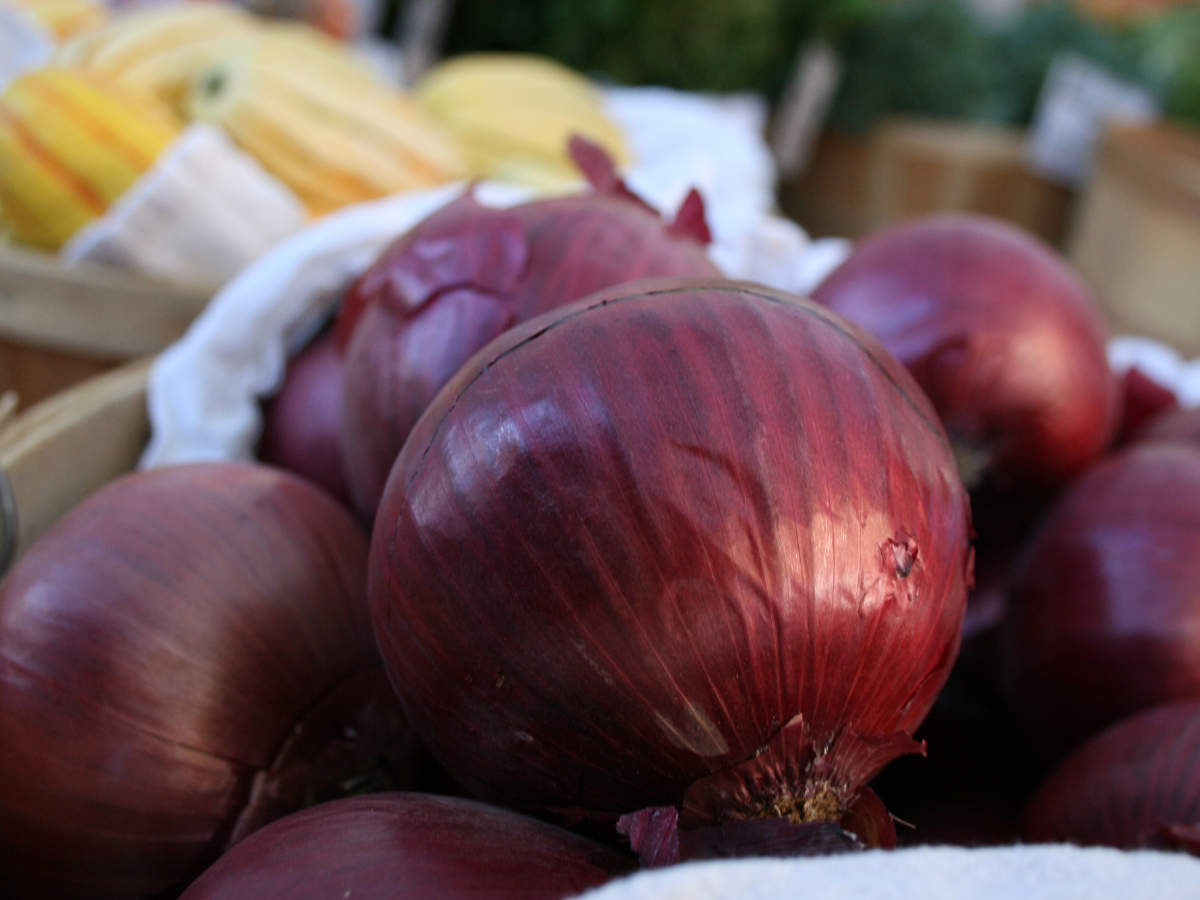 Larimer County Farmers' Market Larimer County