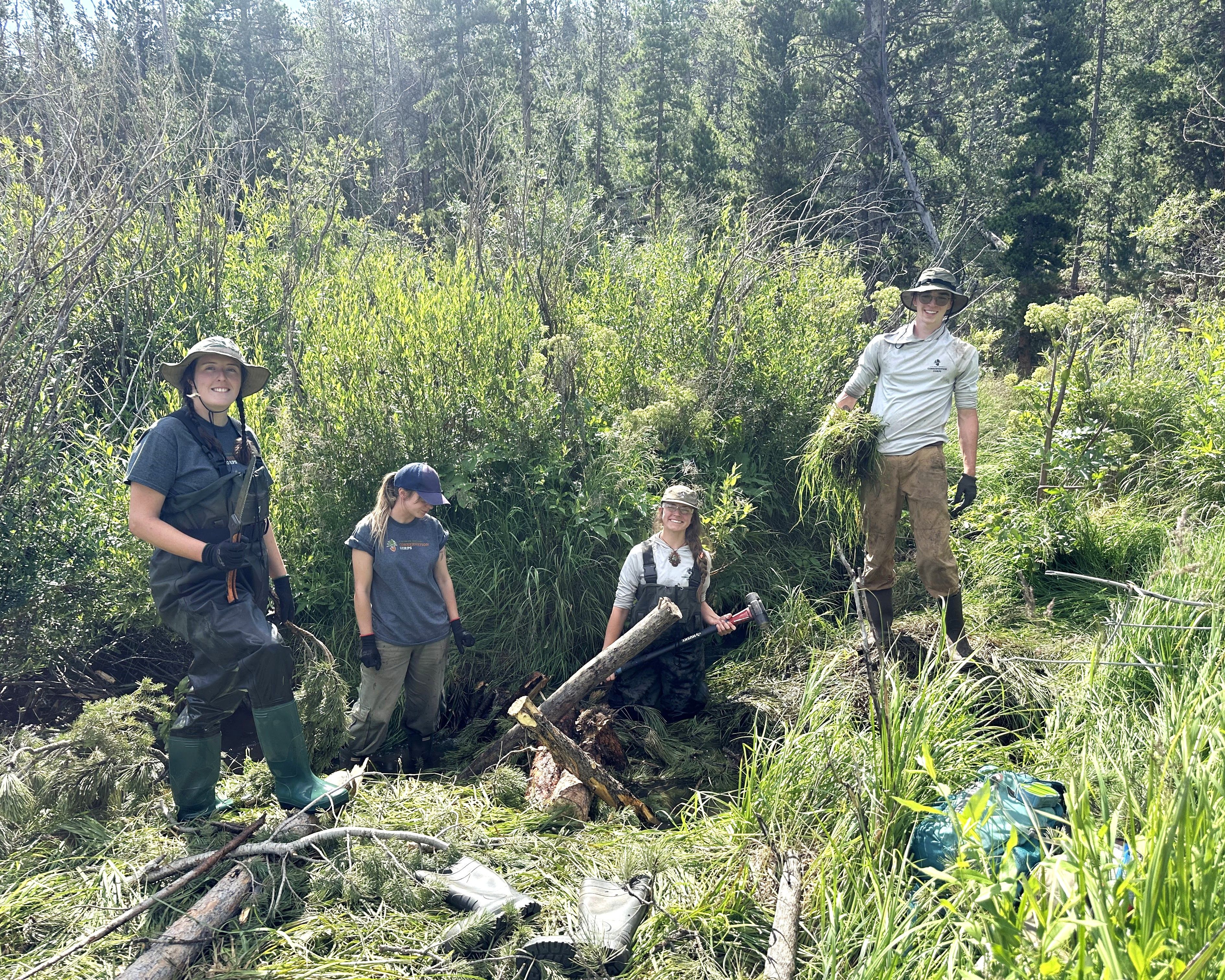 Image Land Crew building bever dam analog.