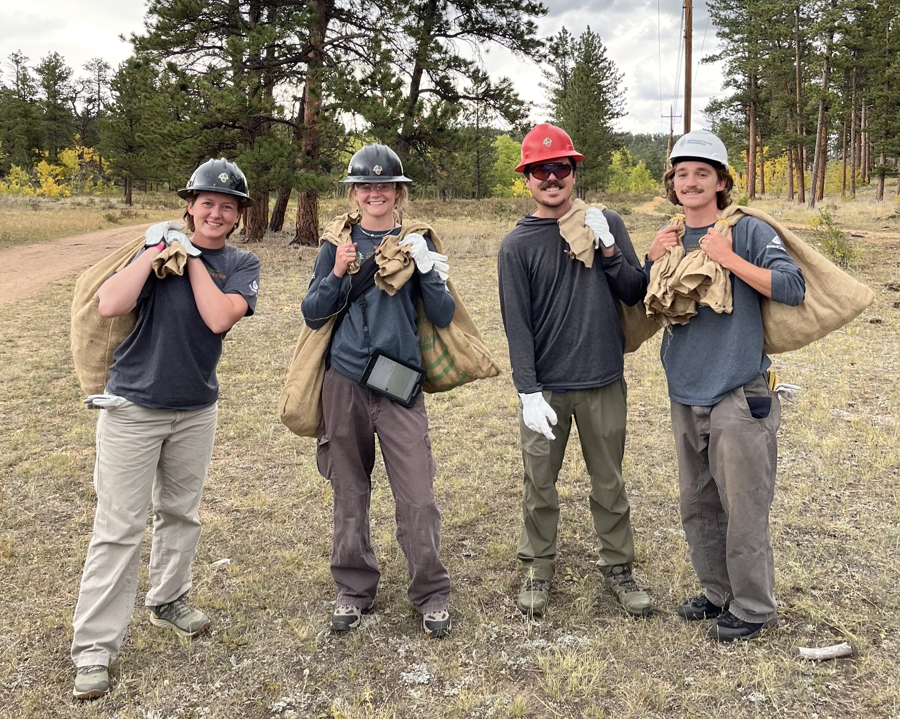 Image ISPs with bags of cones during cone collection.