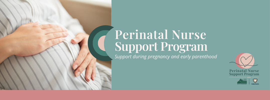 Perinatal Nurse Support Program | Larimer County
