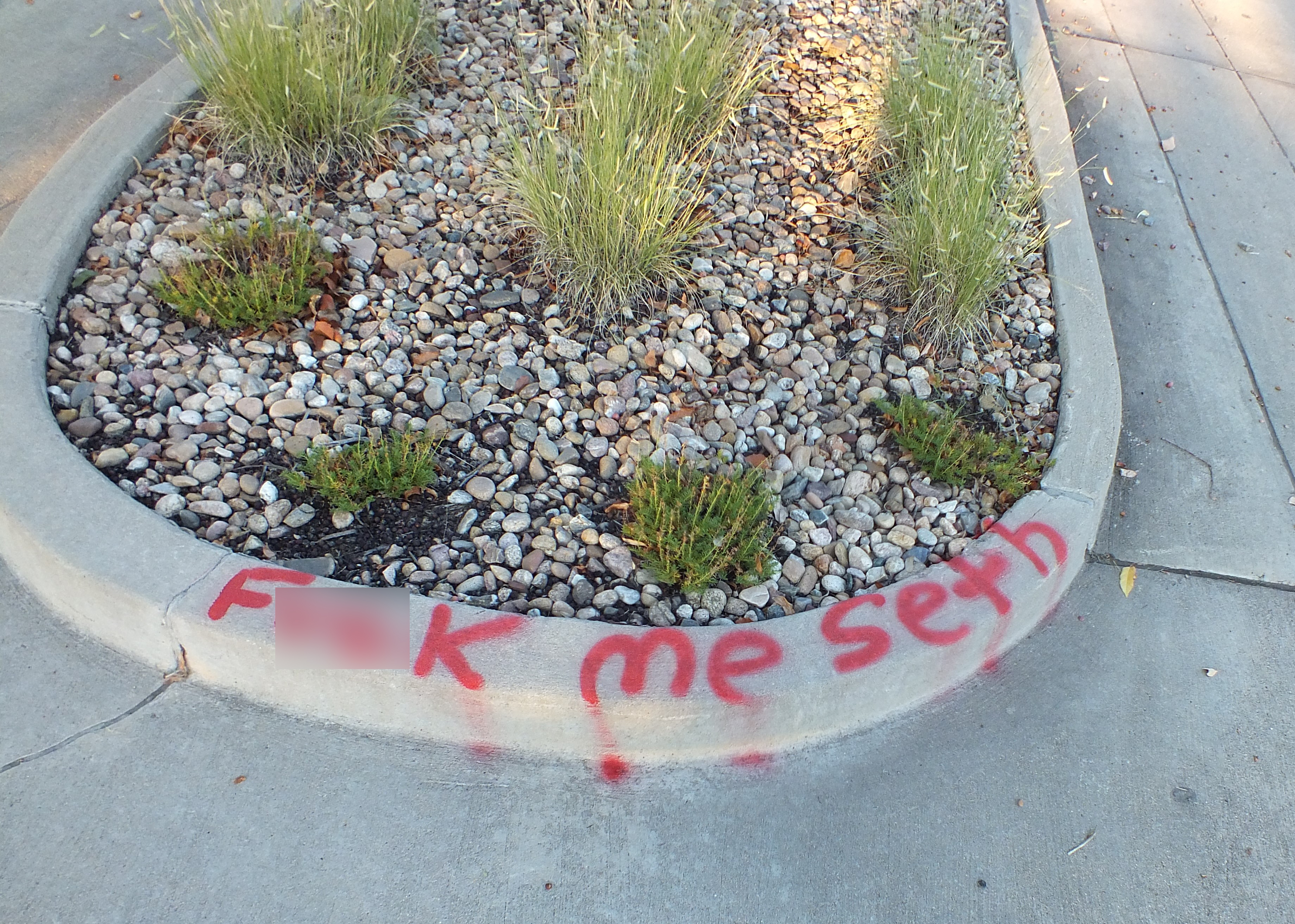 Image 4: Red graffiti on a curb that says 