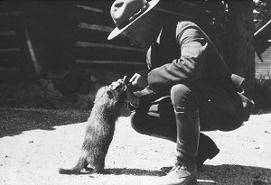 Image 5: Ranger feeding marmot, 1930's