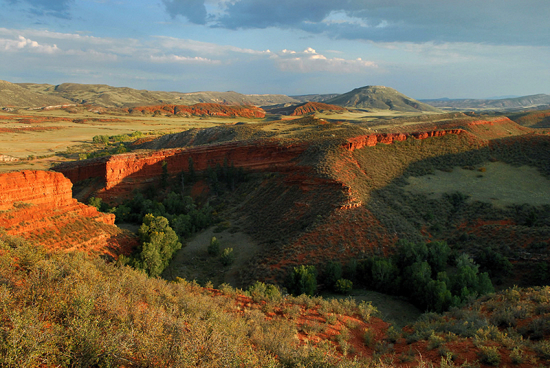 Image 4: Red Mountain Open Space