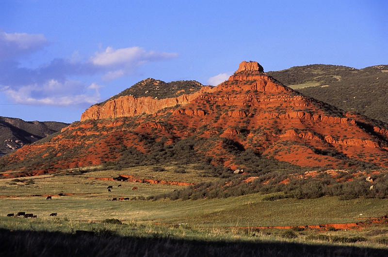 Red Mountain Space Larimer County