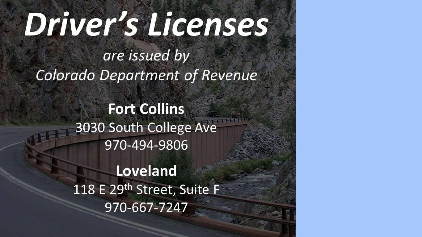 Image 11: Vehicle Licensing Slideshow - Estes Park