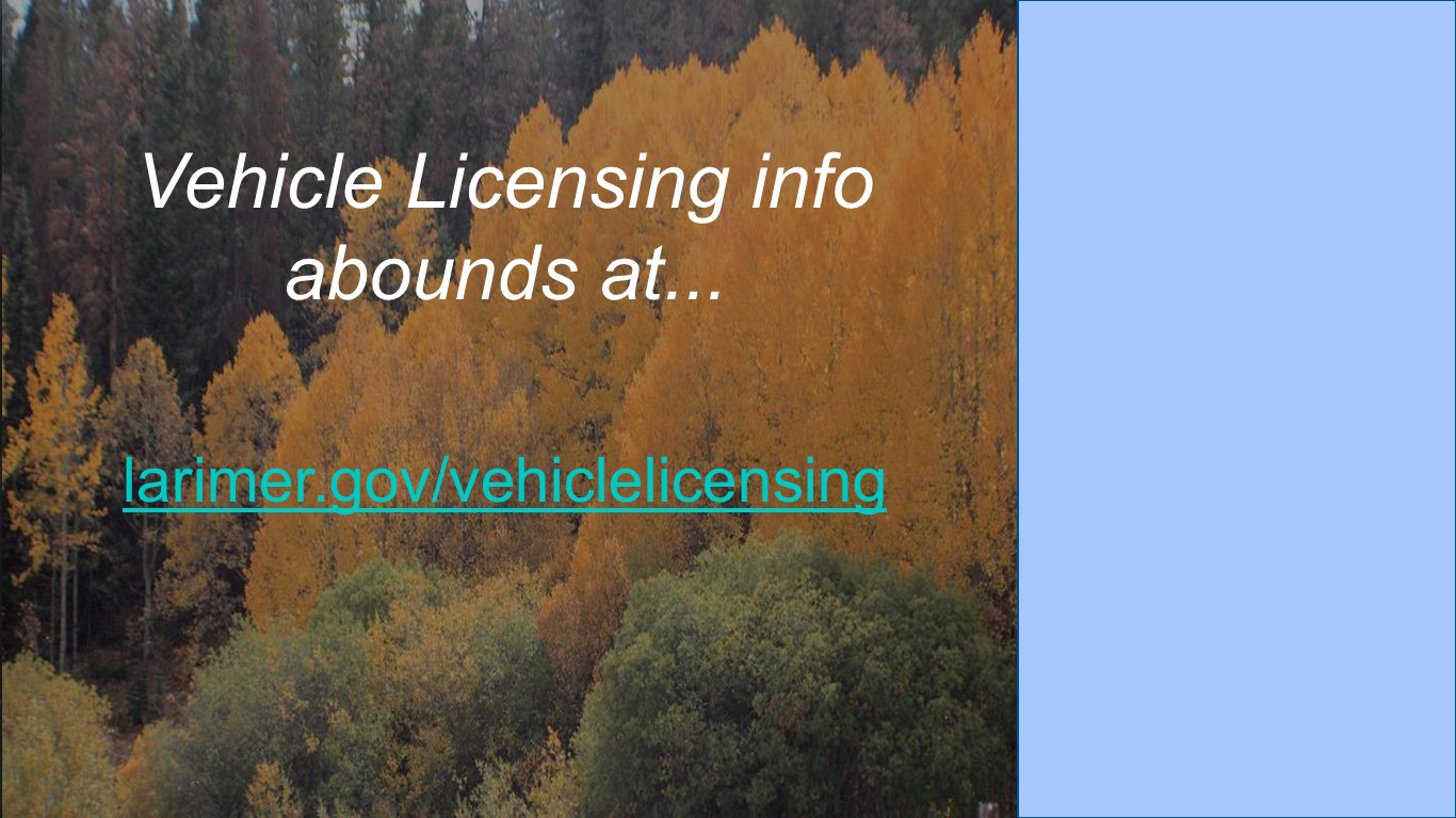 Image 26: Vehicle Licensing Slideshow - Fort Collins