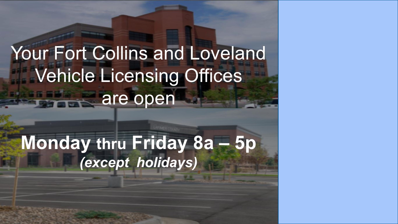 Image 4: Vehicle Licensing Slideshow - Fort Collins
