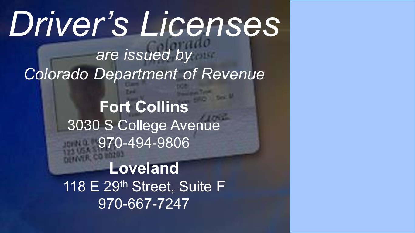 Image 10: Vehicle Licensing Slideshow - Fort Collins
