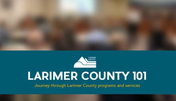 How your county works, apply for Larimer County 101