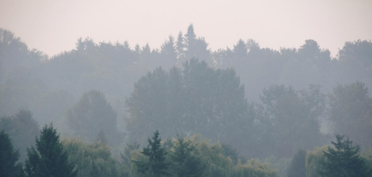 Air quality altern