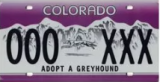 Greyhound Lovers Plate