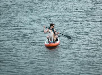A female paddleboarder and a dog on the reservoir.
