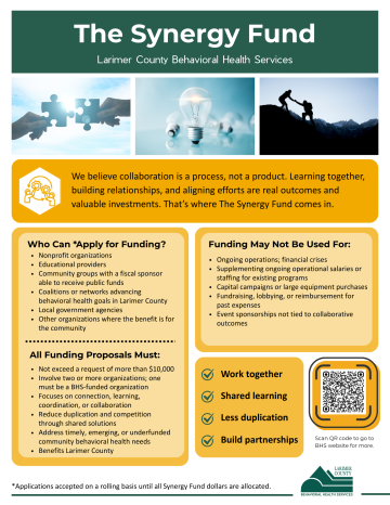Graphic showing information about The Synergy Fund