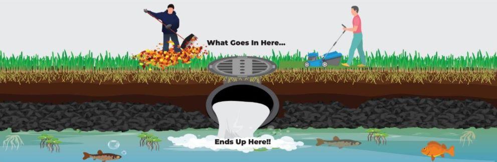 An illustration showing the process of mowing and raking in a yard, with grass clippings, leaves, and debris being washed into storm drains, ultimately leading to contamination of water supplies.