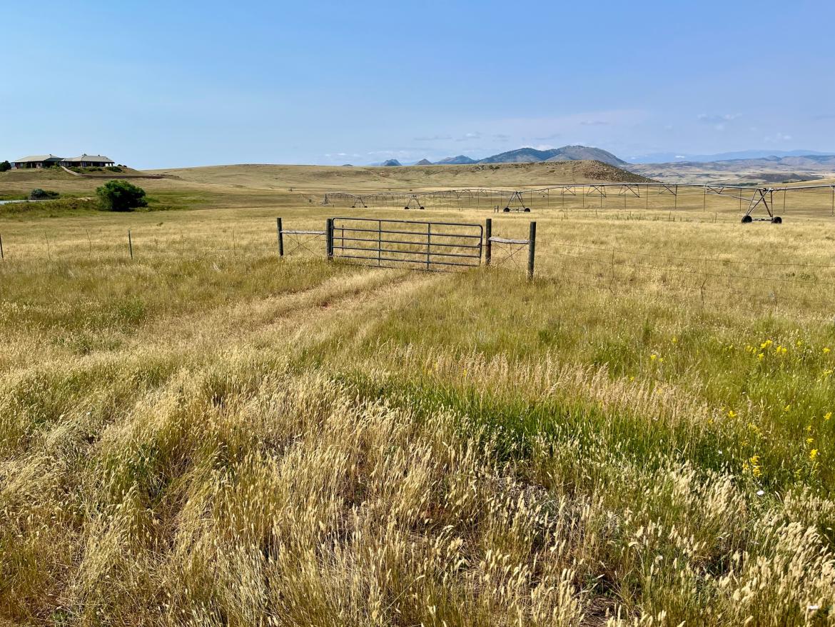 Pasture and irrigation system at Legend Trail Ranch in northern Larimer County, with open rangeland, a metal gate, and distant foothills under a blue sky. The 675-acre property was recently conserved by Larimer County through a permanent conservation easement.