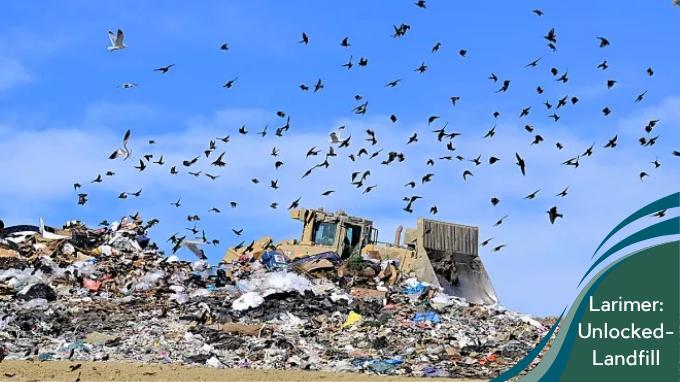 A large landfill piled high with mixed trash and debris under a bright blue sky. Dozens of birds fly overhead and circle the site. On the right side, a teal graphic overlay reads “Larimer: Unlocked – Landfill.”