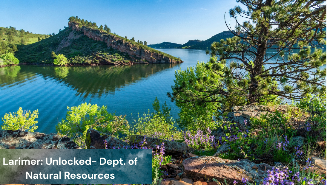 A scenic view of Horsetooth Reservoir on a sunny day. Calm blue water reflects a rocky, tree-covered peninsula that extends into the reservoir. In the foreground, pine trees, boulders, wildflowers, and green shrubs frame the overlook, with rolling foothills visible in the distance beneath a clear blue sky. A dark teal banner in the lower left corner reads, "Larimer: Unlocked – Dept. of Natural Resources."