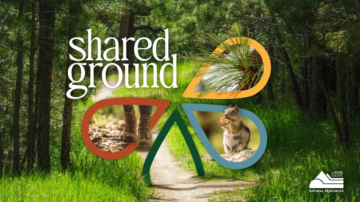 Shared ground Header graphic