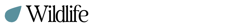 Wildlife Header
