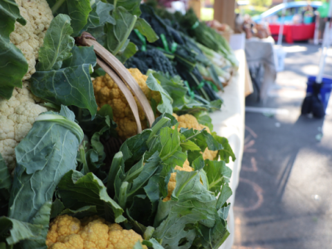 Produce at the Larimer County Farmers' Market Produce at the Larimer County Farmers' Market