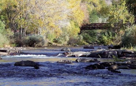 Scenic river flowing over large rocks in the foreground, surrounded by trees displaying vibrant fall foliage, with a bridge spanning the river in the background.