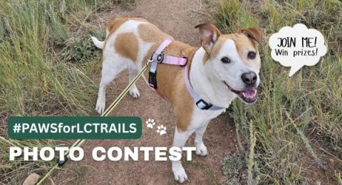 A dog photo with the words Paws for LC trails photo contest