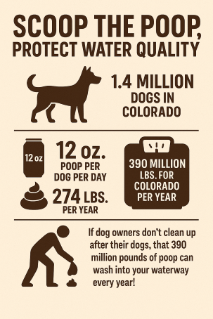Infographic titled 'Scoop the Poop – Protect Water Quality' showing that 1.4 million dogs in Colorado each produce 12 ounces of poop per day, adding up to 274 pounds per year per dog. This totals 390 million pounds of dog waste annually in Colorado. The image emphasizes that if dog owners don’t clean up after their pets, all that waste can wash into waterways, polluting water sources.
