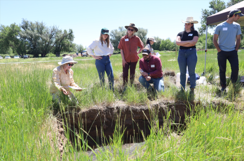 Group examining soil