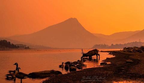 Lake Estes during Cameron Peak Fire