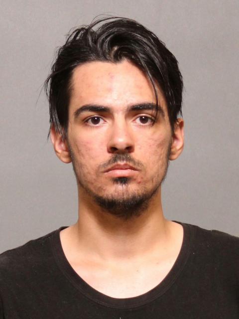 ダミアン・ミカル・ヴィジル