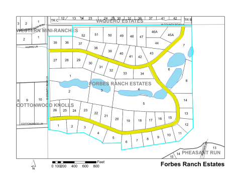Map of Larimer County maintained streets in Forbes Ranch Estates subdivision.