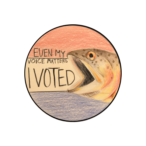 A finalist for Larimer County's 2026 I Voted Sticker Contest. On the right side of the sticker is a colored-pencil drawing of a Greenback Cutthroat Trout with its mouth opne. On the left are the words 'Even my voice matters / I voted.' The drawing is set against a background with a large red, white, and blue bar down the page.