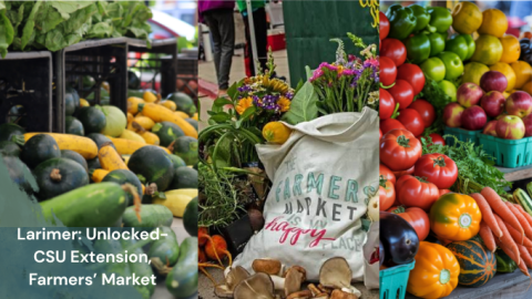 Banner for Larimer: Unlocked—CSU Extension, Farmers' Market. The banner features three side-by-side photos: fresh squash and leafy greens at a market stand on the left, a reusable "Farmers Market" tote filled with flowers, herbs, mushrooms, and vegetables in the center, and colorful displays of tomatoes, peppers, apples, carrots, and other produce on the right. A teal overlay in the lower left corner contains the event title in white text: "Larimer: Unlocked—CSU Extension, Farmer's Market."