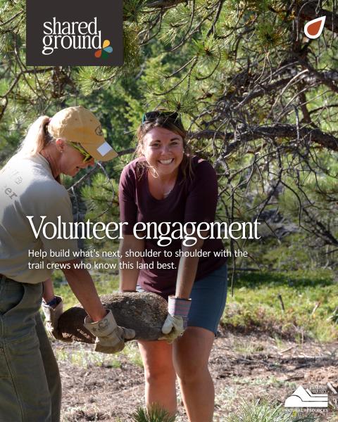Shared Ground Graphics - Volunteer engagement