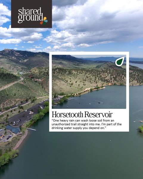 Shared ground - HT Res Graphic