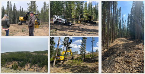 Landscape and mitigation equipment and crews in Crystal Lakes