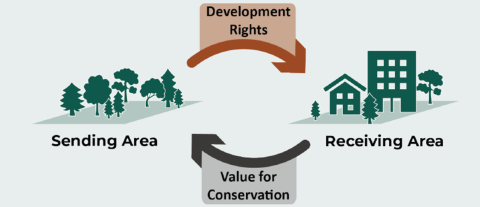 TDR Graphic