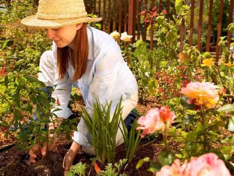 Une femme plante des fleurs dans un parterre de fleurs